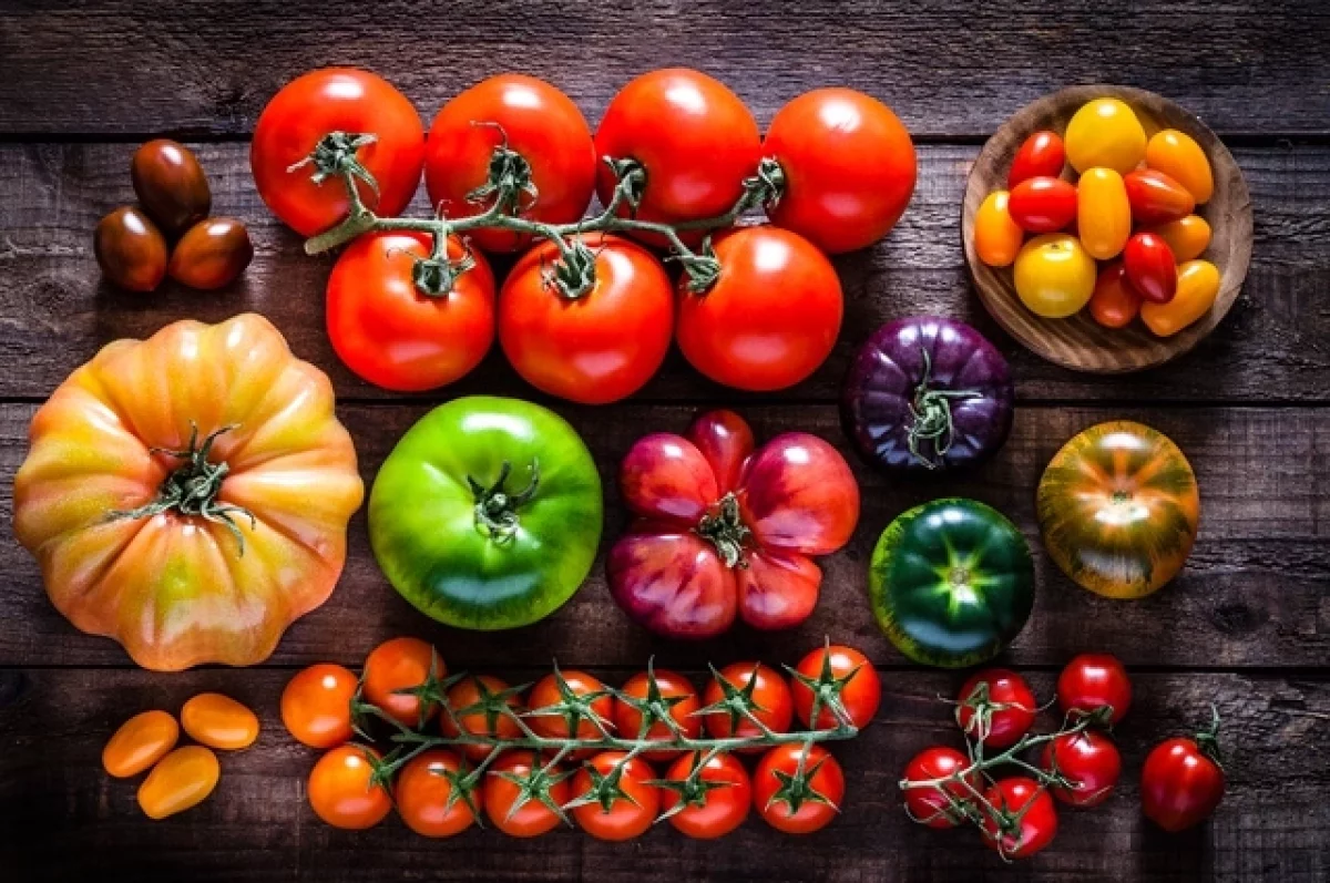 Врач с грядки. Эксперты рассказали, какие помидоры защищают от рака