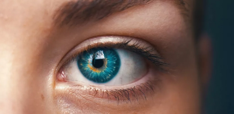 Диета, которая поможет сохранить зрение