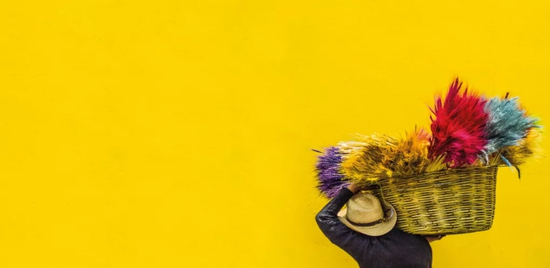 Дизайн Человека и питание