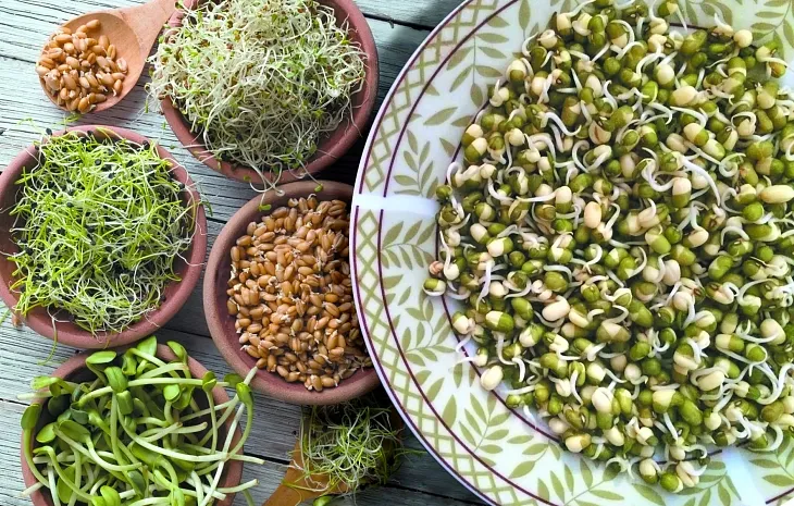 Проросшее зерно с точки зрения йогов